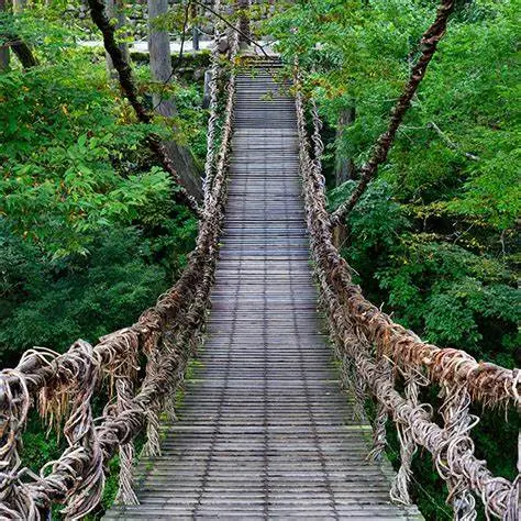 OIP.PH6rVL_r-4lzJ7csmQuZpwHaHa?cb=ucfimg2&ucfimg=1&w=474&h=474&c=7&p=0