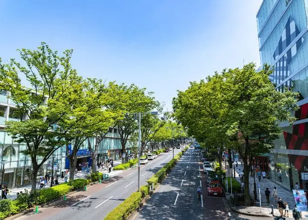 a0005613_parts_67b5904b4d1e8.jpg?20250729084700&q=80&rw=620&rw=443