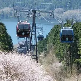 OIP.obKZM-bSf3r2N4JKEzoCeAHaEc?cb=ucfimg2&ucfimg=1&w=474&h=474&c=7&p=0