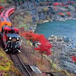 OIP.GFxnd0FZ1GKeOXklIsEZuQHaFF?cb=ucfimg2&ucfimg=1&w=474&h=474&c=7&p=0