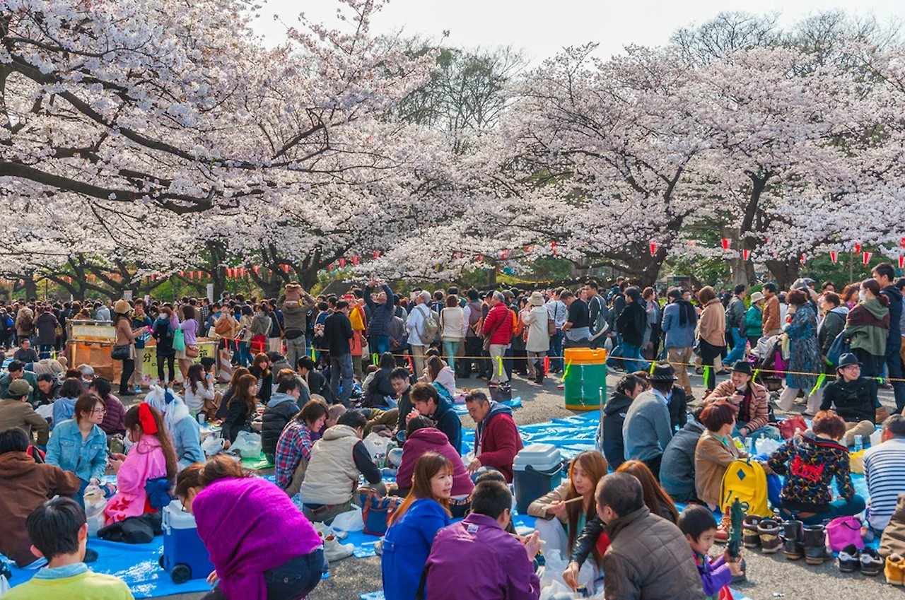 1728632954-ueno-park.webp?auto=format&h=1000&w=2000