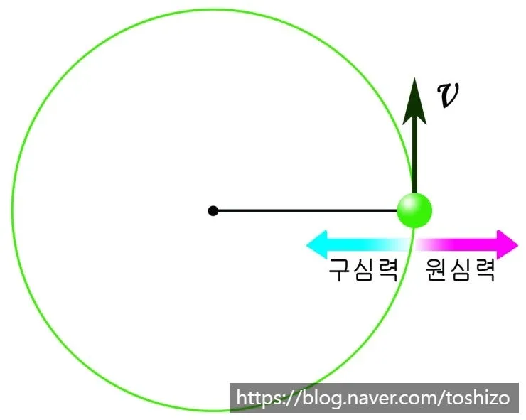 SE-0c4387b3-4987-11f0-9e9c-3fa33c8ad0e9.jpg?type=w800