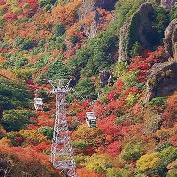 OIP.ObqrMvHpTXFBNIApV2jinAHaFj?cb=ucfimg2&ucfimg=1&w=474&h=474&c=7&p=0