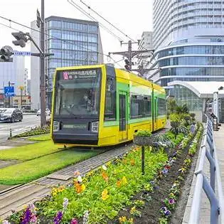 OIP.IdQVHb1sJ46LV5k6uveXVAHaE7?cb=ucfimg2&ucfimg=1&w=474&h=474&c=7&p=0