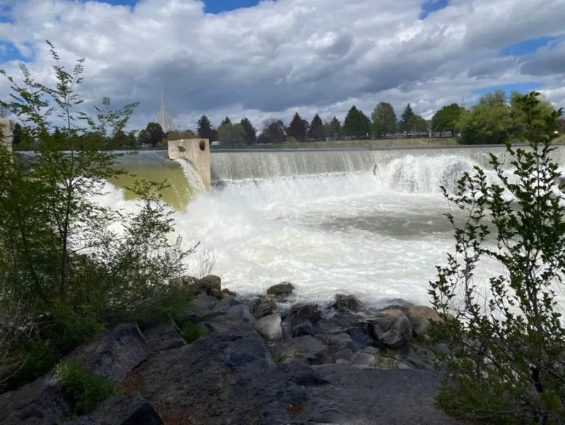 IMG_9808.jpg?type=w800