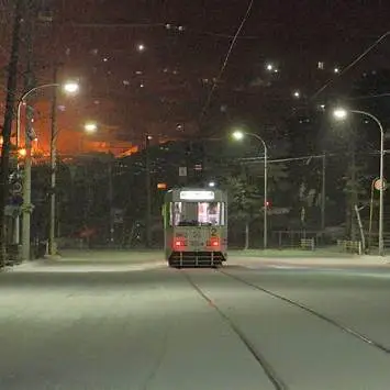 OIP.oWoaN-NZg1j1twvyiH6wYQHaFj?cb=ucfimg2&ucfimg=1&w=474&h=474&c=7&p=0