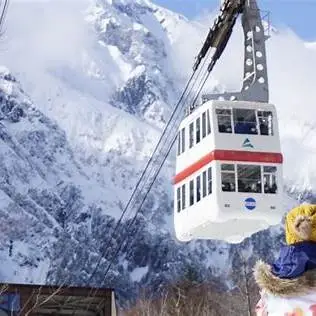 OIP.UEn_4qY1pV7PQnppjXVBtAHaE8?cb=ucfimg2&ucfimg=1&w=474&h=474&c=7&p=0