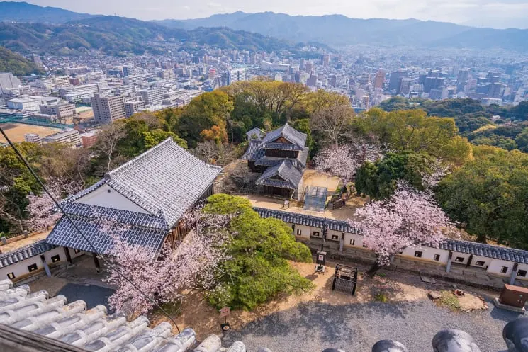 img_iti_0001_06_03_c0dvta