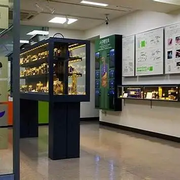 OIP.GZGLplGtDeUYSvwwDSQAIAHaFj?cb=ucfimg2&ucfimg=1&w=474&h=474&c=7&p=0