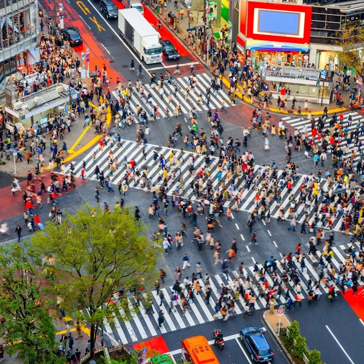 1707739510-shibuya-crossing.jpg?auto=format&fit=crop&h=736&w=736