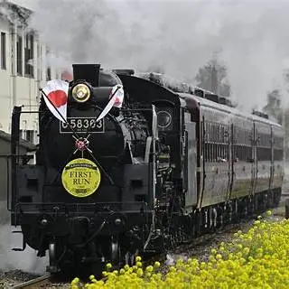 OIP.WY1UYBzB8H7pa0BK7RIHHgHaFA?cb=ucfimg2&ucfimg=1&w=474&h=474&c=7&p=0