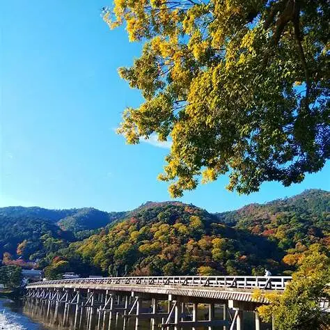 OIP.WtkDhDKHOKw_zGVy2EXoGQHaJ4?cb=ucfimg2&ucfimg=1&w=474&h=474&c=7&p=0