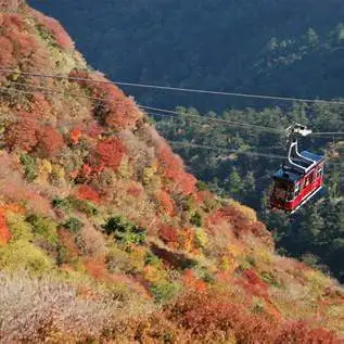 OIP.qErUufIO8vOhDkLWP_wwFgHaE9?cb=ucfimg2&ucfimg=1&w=474&h=474&c=7&p=0