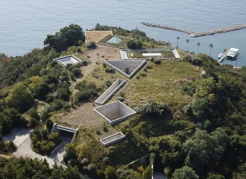 1587709314116.jpg?type=w800