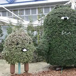 OIP.TWQhidZ82HLbaLKViHV39AHaE7?cb=ucfimg2&ucfimg=1&w=474&h=474&c=7&p=0