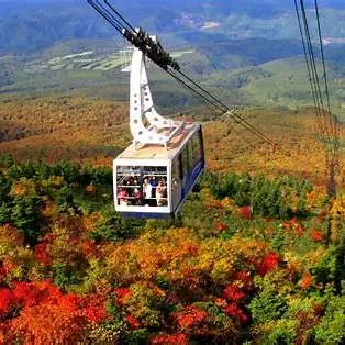 OIP.JOCe01nVQQ88Z6UISobaZgHaE6?cb=ucfimg2&ucfimg=1&w=474&h=474&c=7&p=0