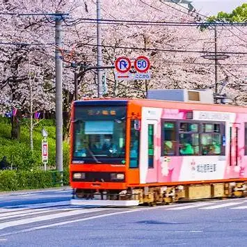 OIP.mL8ln_mCF1_S1FbCKkmDrwHaFj?cb=ucfimg2&ucfimg=1&w=474&h=474&c=7&p=0