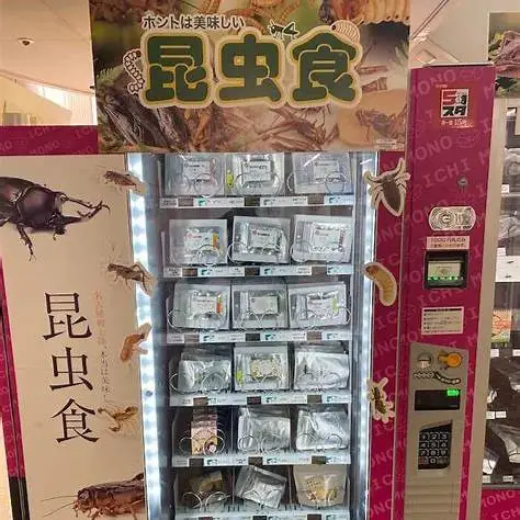 OIP.K1t6Nv46Q-Kzg7rBLvDxLAHaJ3?w=474&h=474&c=7&p=0