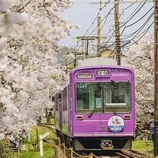 OIP.CC846cKGaxgvXB_bZWpOLgHaE8?cb=ucfimg2&ucfimg=1&w=474&h=474&c=7&p=0