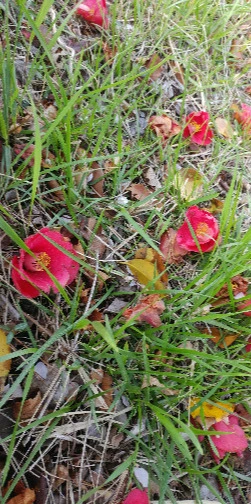 AwONmf5Lc_d2Jda69J7J-znn68Y