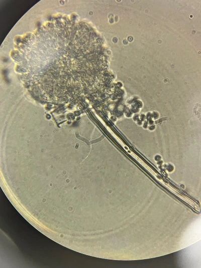 1266413_1683874828000.do