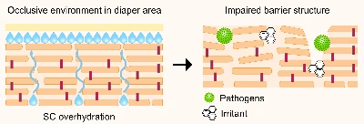 pharmaceutics-14-00433-ag.png?1645093757