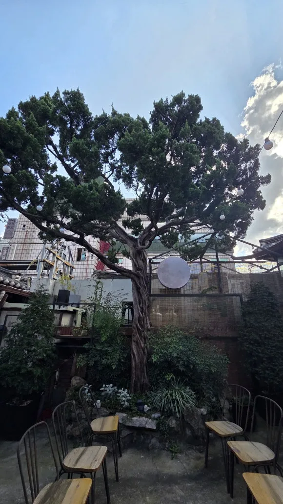 20251025_132955.jpg?type=w580