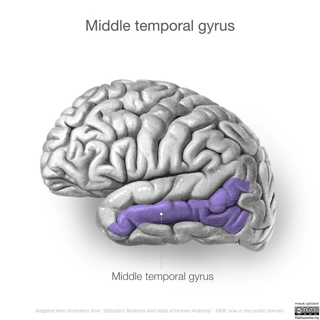 516758832_17916462243136830_7482965402835198368_n.jpg?stp=dst-jpg_e35_tt6&efg=eyJ2ZW5jb2RlX3RhZyI6InRocmVhZHMuRkVFRC5pbWFnZV91cmxnZW4uNjMweDYzMC5zZHIuZjgyNzg3LmRlZmF1bHRfaW1hZ2UifQ&_nc_ht=scontent-icn2-1.cdninstagram.com&_nc_cat=106&_nc_oc=Q6cZ2QHGRpAvMdhHxUcheUBKsB1CWRhRUyv3STFSajrZ5_jBZcpqhCk1c5p9Ucomjt7DP2A&_nc_ohc=leBhxPu4SWIQ7kNvwEjJqAA&_nc_gid=GdnT830EvCdLyYvvVm0s8Q&edm=ALvRx_oBAAAA&ccb=7-5&ig_cache_key=MzY3Mjc3NTY5MDkwODI0Mjk2NA%3D%3D.3-ccb7-5&oh=00_AfQtMkH42CS_REfxSftWLHj2qCqYvvq3mE6rGJ9lJgPoEQ&oe=687401E3&_nc_sid=ecb15b