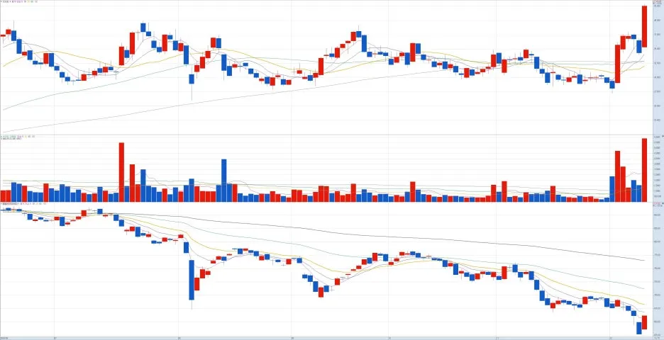 %ED%8C%8C%EB%A7%88%EB%A6%AC%EC%84%9C%EC%B9%98_%EC%BD%94%EC%8A%A4%EB%8B%A5_%EC%B0%A8%ED%8A%B8_%EB%B9%84%EA%B5%90.jpg?type=w1