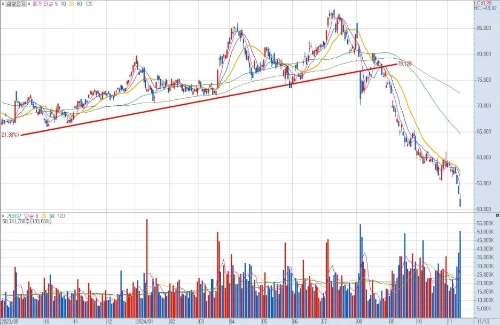 %EC%82%BC%EC%84%B1%EC%A0%84%EC%9E%90_%EC%B0%A8%ED%8A%B8.jpg?type=w1