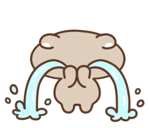 original_18.png?type=p100_100