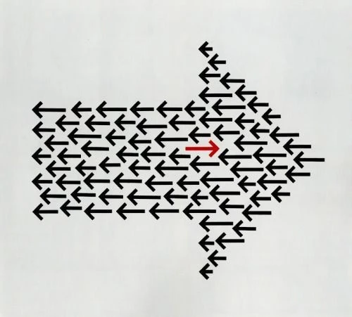 9334122eb81bf06e95cb7a4910615c07.jpg?type=w773