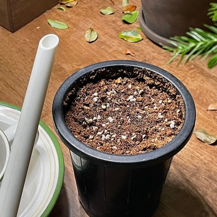 v1-254413396516864.jpg?w=720