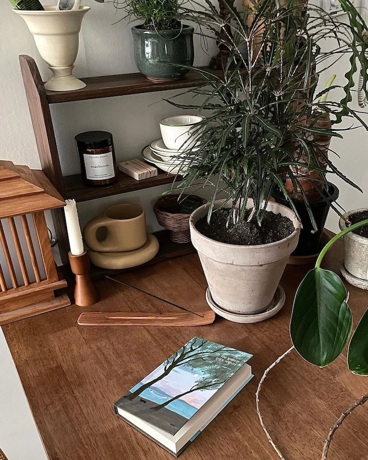 v1-254413396963392.jpg?w=720