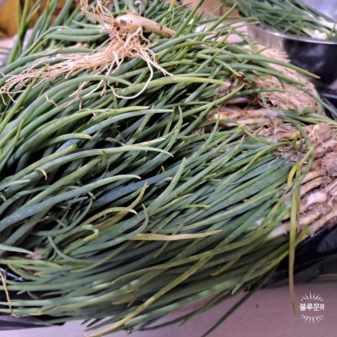 SE-ab6318eb-15a9-11f0-a001-438f6058a5af.jpg?type=w1