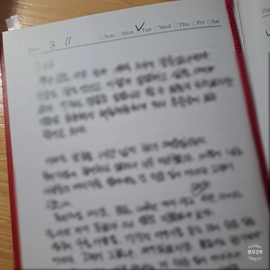 SE-4a1d435a-fe13-11ef-86aa-7bbd706f26bd.jpg?type=w1