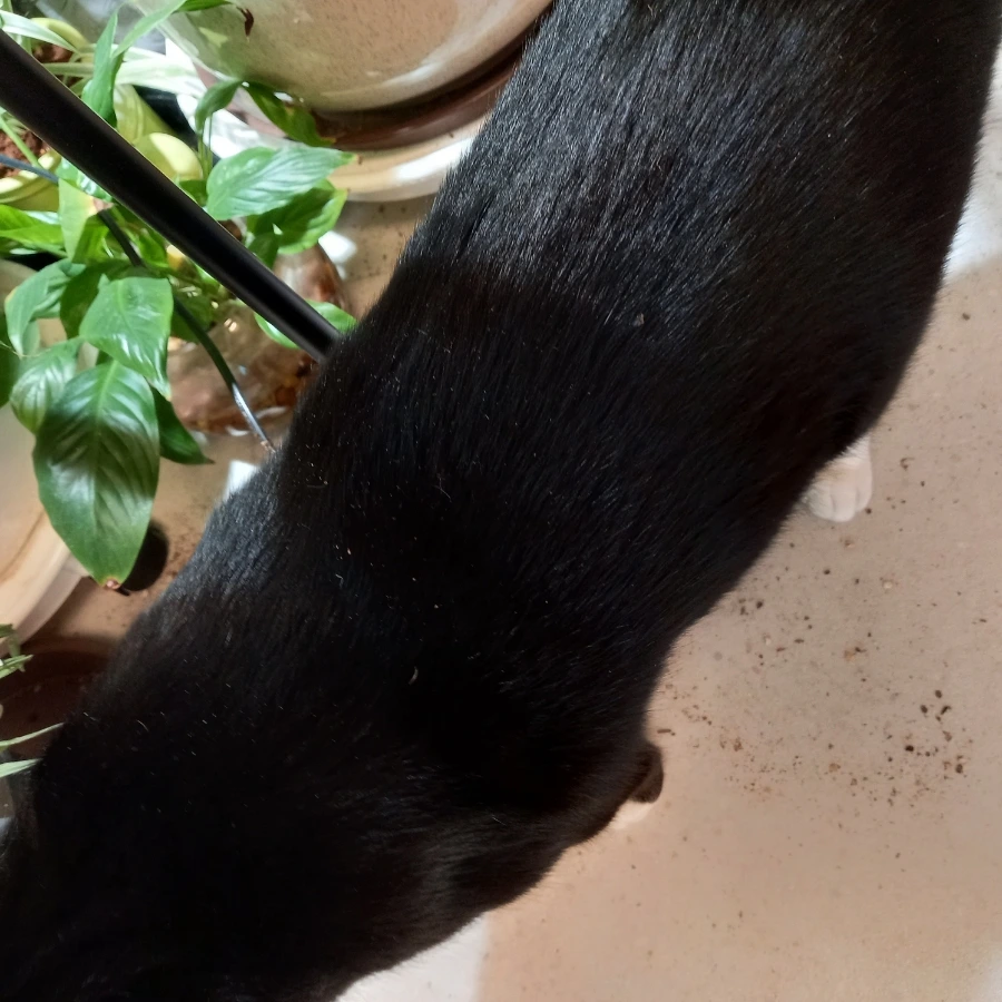 20240122%EF%BC%BF115425.jpg?type=w3840