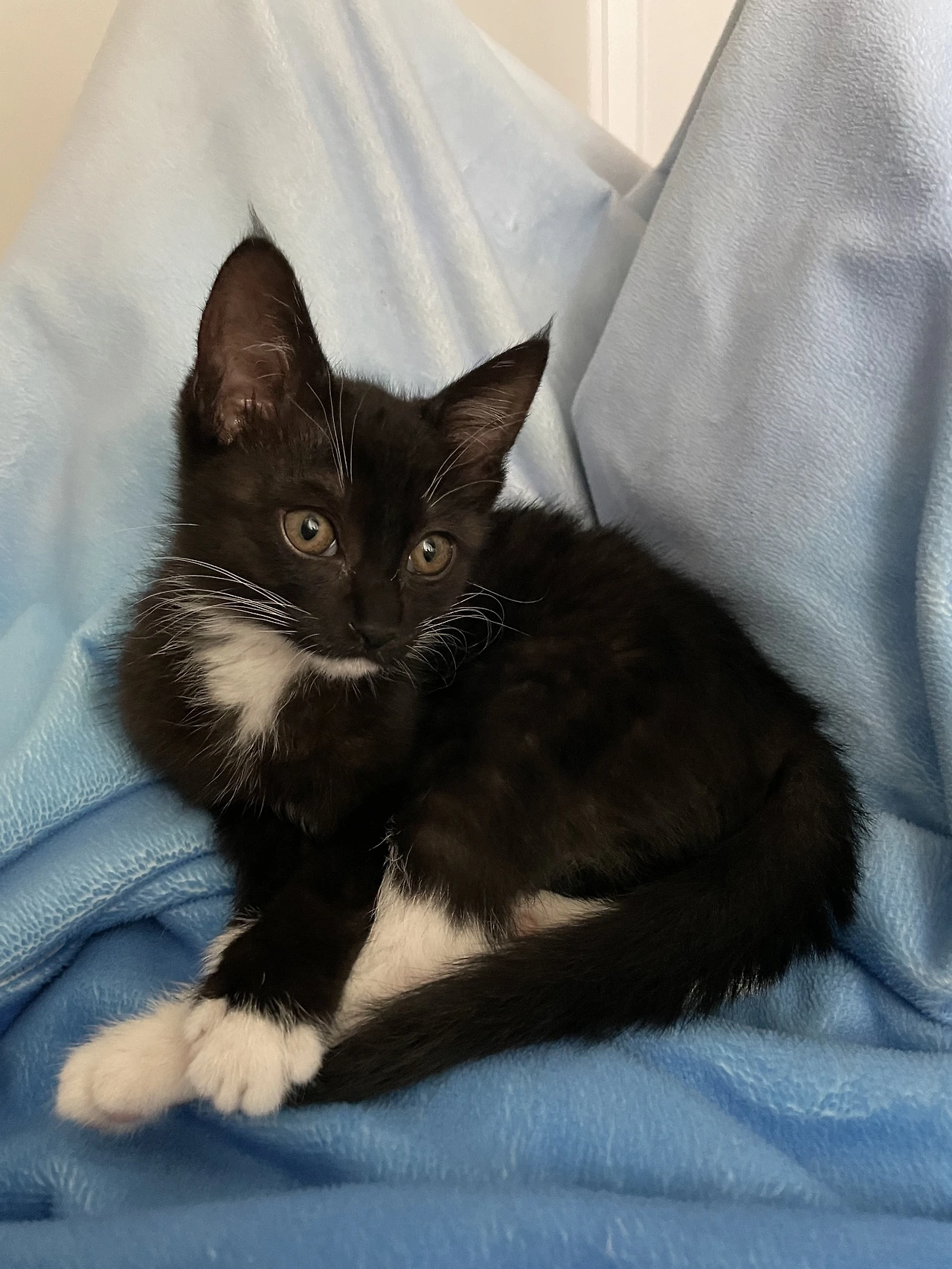 KakaoTalk_20220615_145045994.jpg?type=w3840