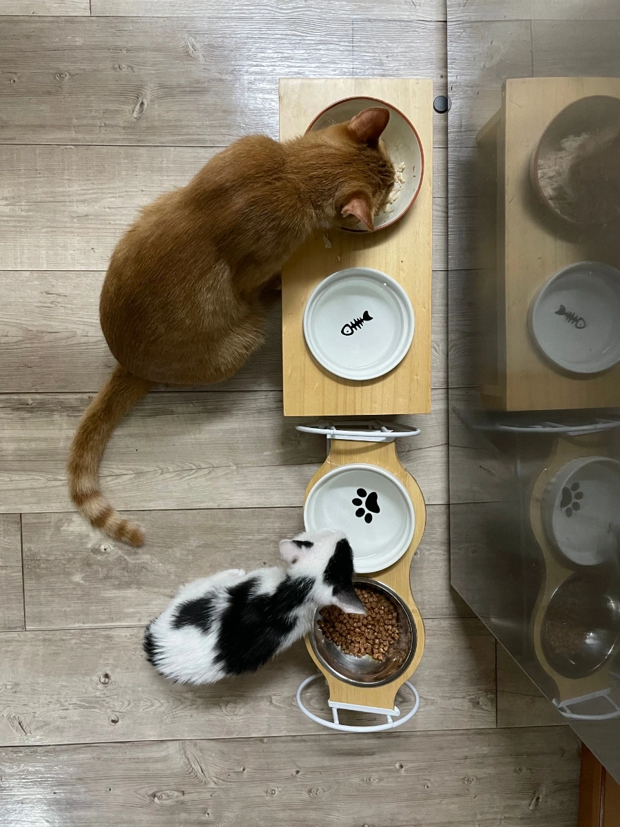 1631873641845.jpg?type=w3840