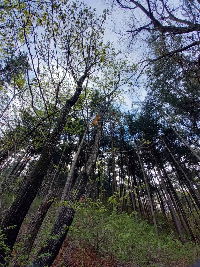 20210404_085310.jpg?type=w773