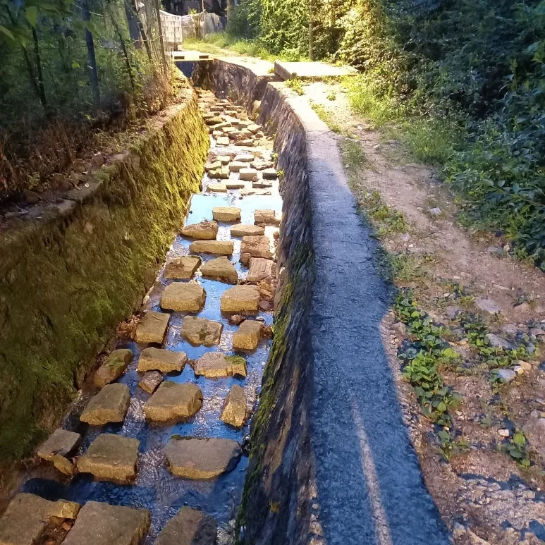 20230623_201709.jpg?type=w773