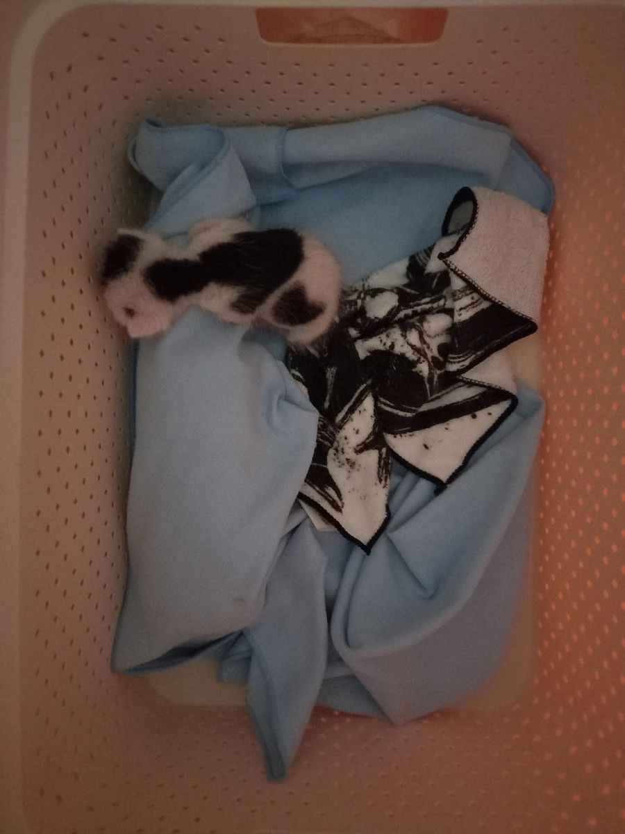 20210728%EF%BC%BF090956.jpg?type=w3840