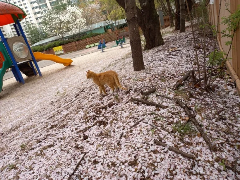 20210404%EF%BC%BF160248.jpg?type=w773