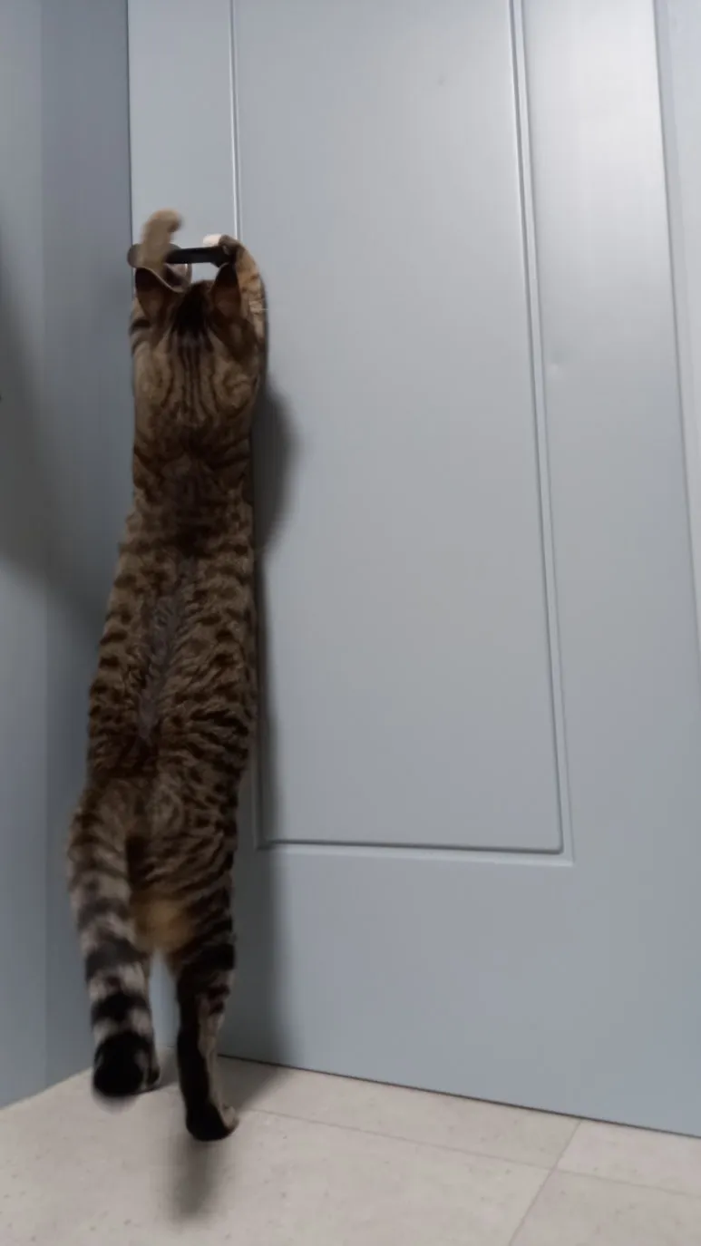 900%EF%BC%BF20241214%EF%BC%BF234157.jpg?type=w773