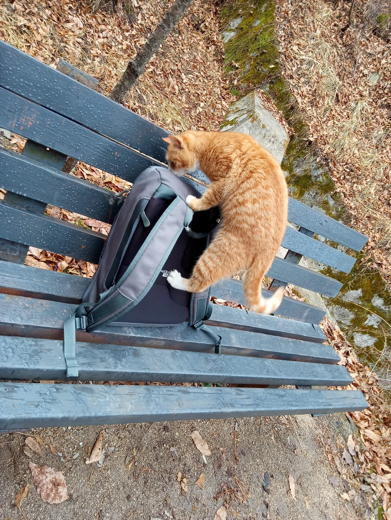 20210215_112645.jpg?type=w3840