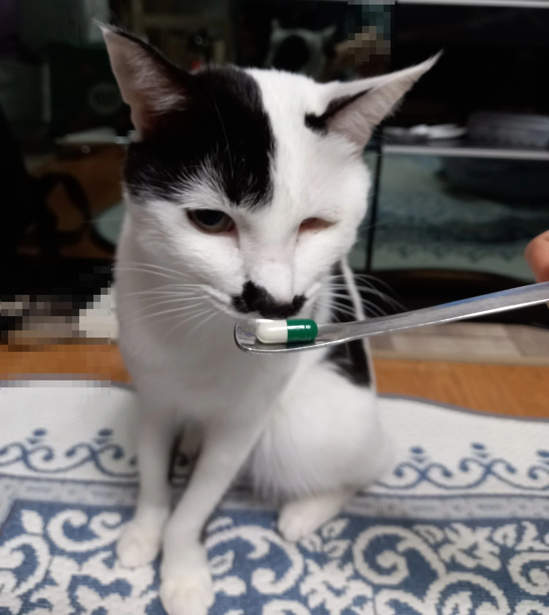 SE-ac962f05-7a9c-4230-982b-33318cea82b2.jpg?type=w3840