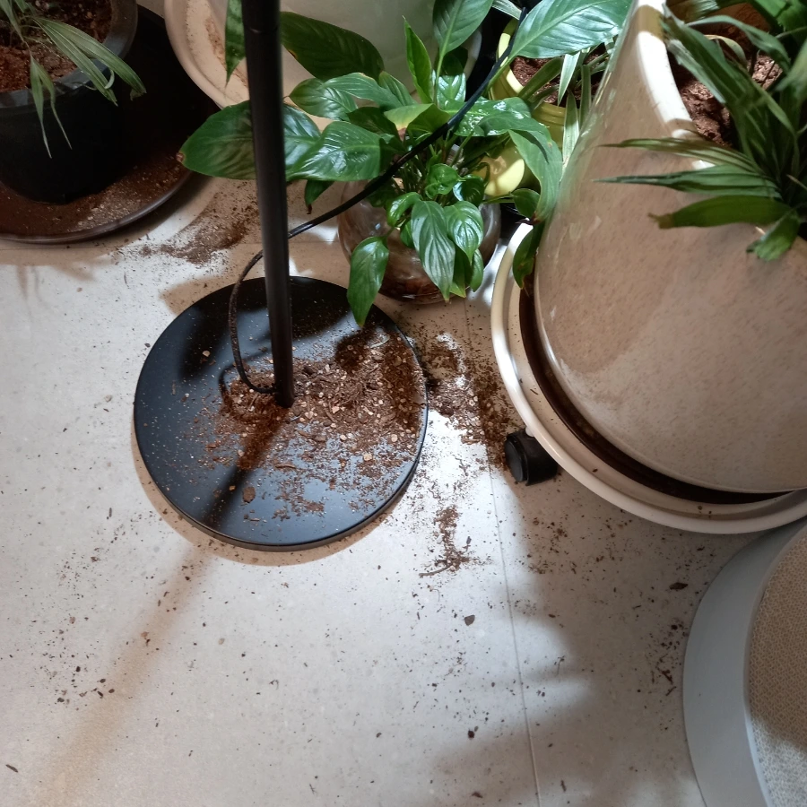 20240122%EF%BC%BF115245.jpg?type=w3840