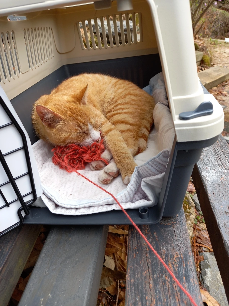 20210404%EF%BC%BF143844.jpg?type=w3840