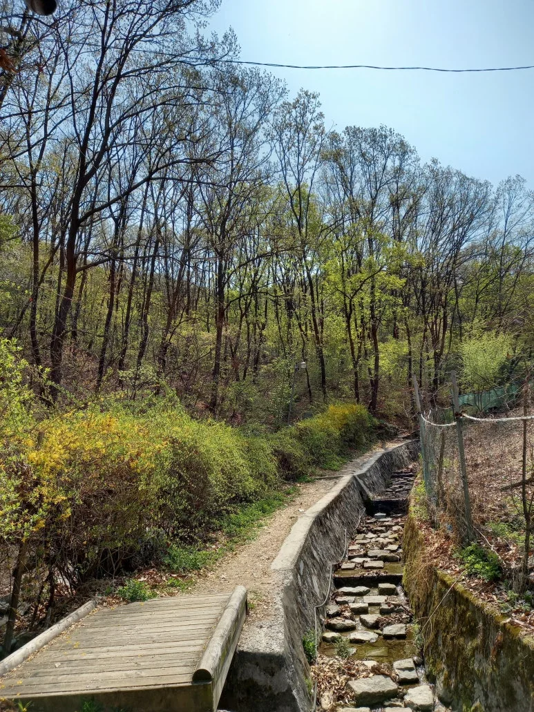 20210410_110335.jpg?type=w773