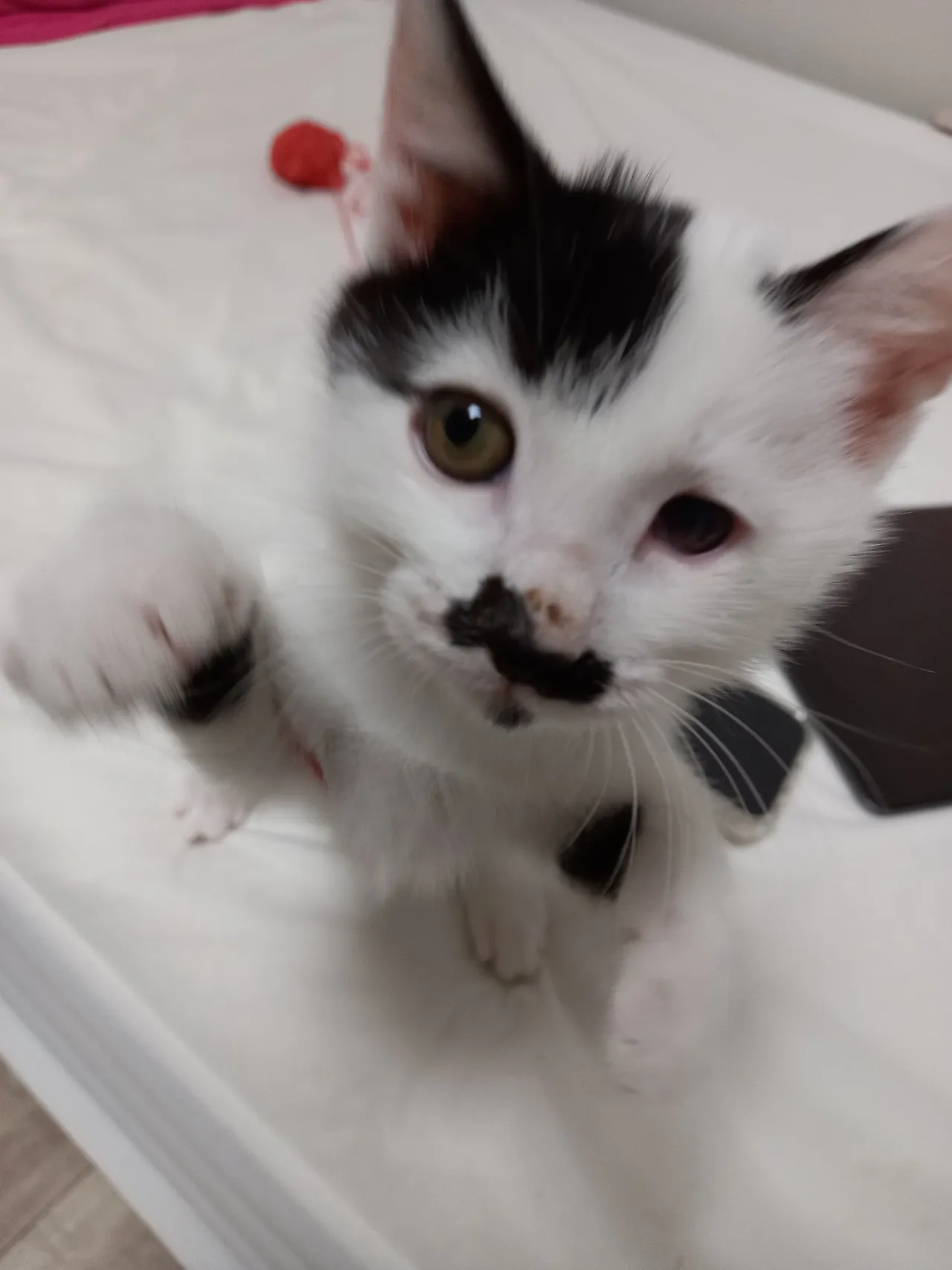 20210922_182809.jpg?type=w3840